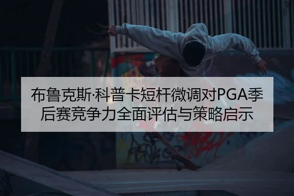 bu-lu-ke-si-ke-pu-ka-duan-gan-wei-diao-dui-ji-hou-sai-jing-zheng-li-quan-mian-ping-gu-yu-ce-lve-qi-shi-2-473.jpg